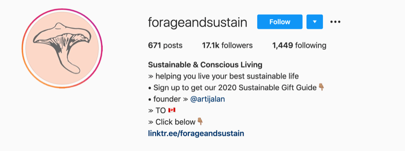 مثال على ملف تعريف instagram منforageandsustain مع ملاحظة في معلومات ملفهم الشخصي للنقر فوق الرابط الحيوي لمزيد من المعلومات