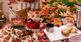ما هي أفضل الأنشطة التي يمكنك القيام بها في فصل الخريف؟ أنشطة يمكنك القيام بها في المنزل في فصل الخريف...