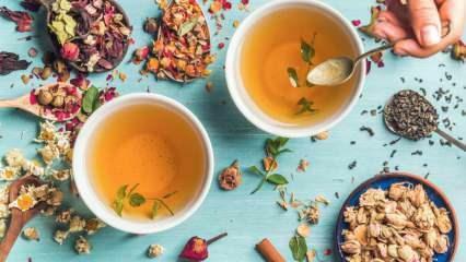 ما هي اسرع انواع شاي الاعشاب حرق الدهون؟ أكثر 7 أنواع شاي عشبية فعالية في حرق الدهون! 
