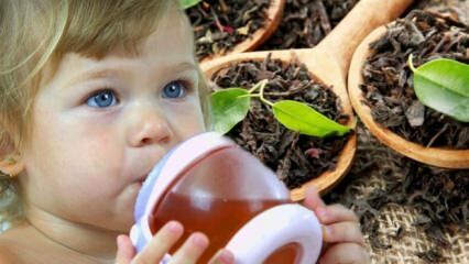 هل يمكن للأطفال شرب الشاي؟