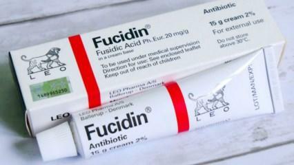 ماذا كريم Fucidin تفعل؟ كيفية استخدام كريم Fucidin؟ سعر كريم Fucidin