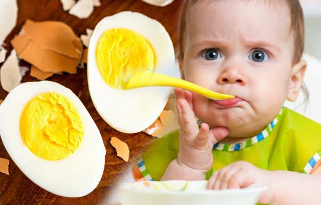 هل حساسية البيض؟ وصفة البيض للأطفال