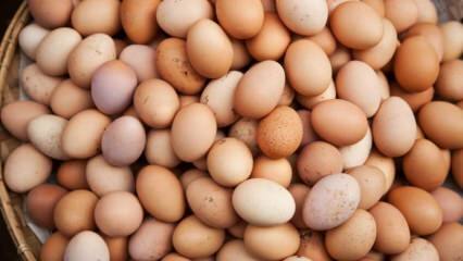 ما الذي يجب مراعاته عند اختيار البيضة؟