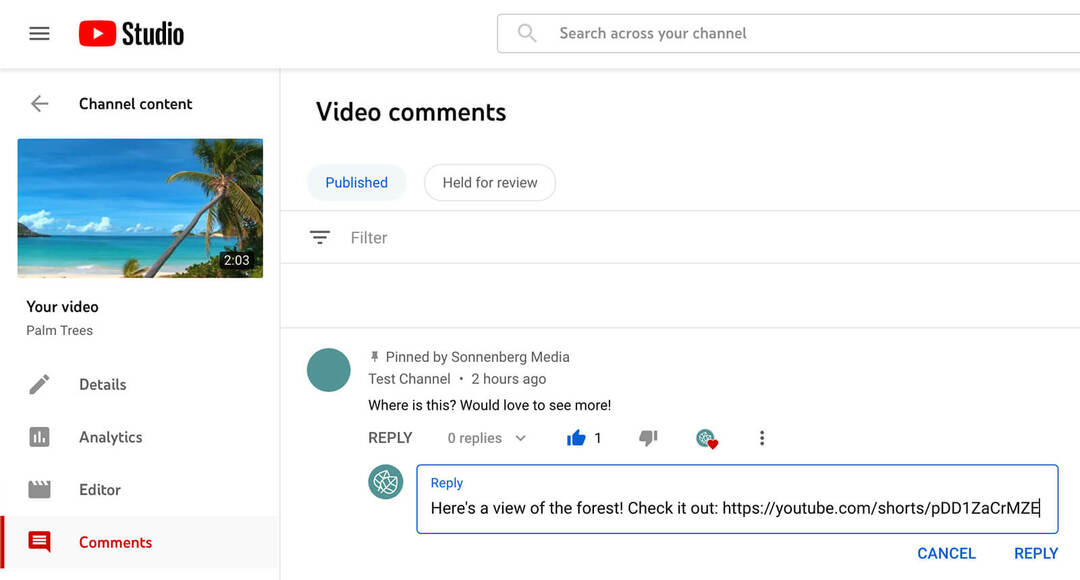 how-use-youtube-shorts-commenting-feature-to-tag-and-include-commenters-replying-to-original-comment-with-text-comment-example-14