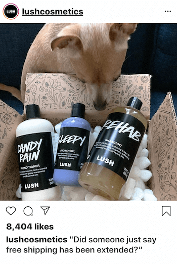 وظيفة Instagram التجارية مع الكلب