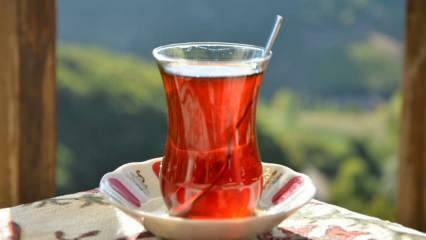 كيف يمكنك معرفة ما إذا كان الشاي ذا نوعية جيدة؟ طرق لفهم جودة الشاي