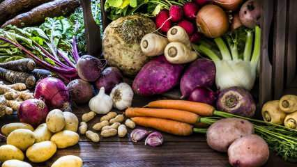 ما هي جذور الخضروات؟ ما هي فوائد الخضروات الجذرية؟