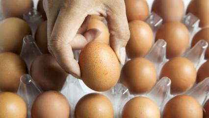 نصيحة عملية للحفاظ على البيض طازجًا